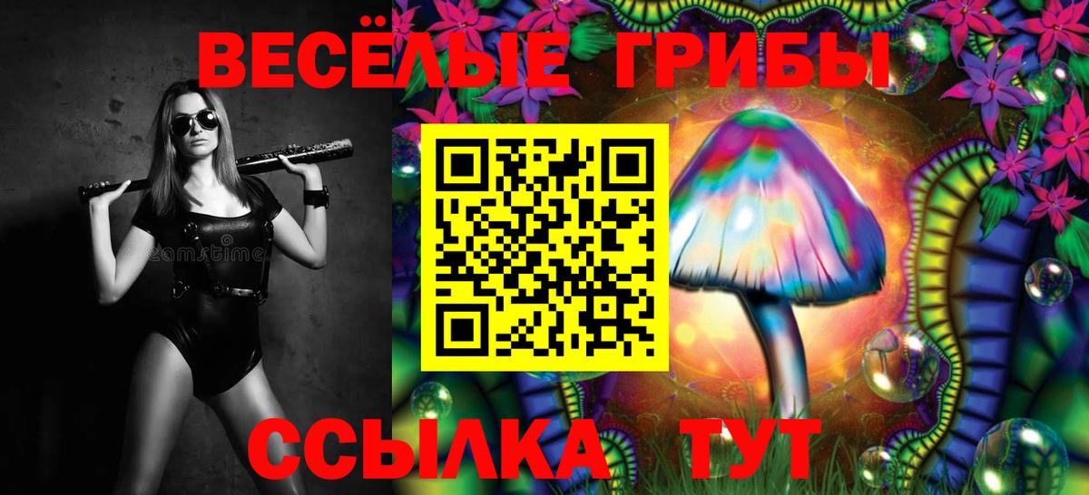 Галлюциногенные грибы прущие грибы Югорск